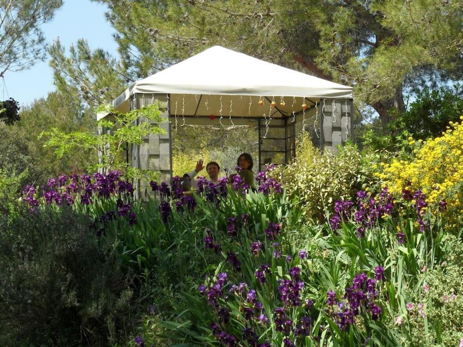 L'Oliveraie En Provence Lambesc Kültér fotó